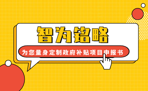 智为铭略为您量身定制2年的政府补贴项目咨询方案书
