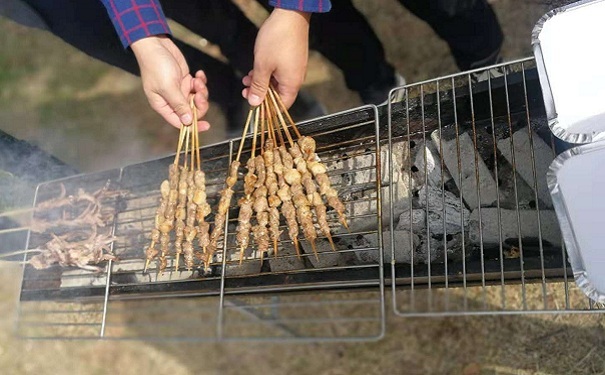 智为铭略金秋野外烧烤掠影