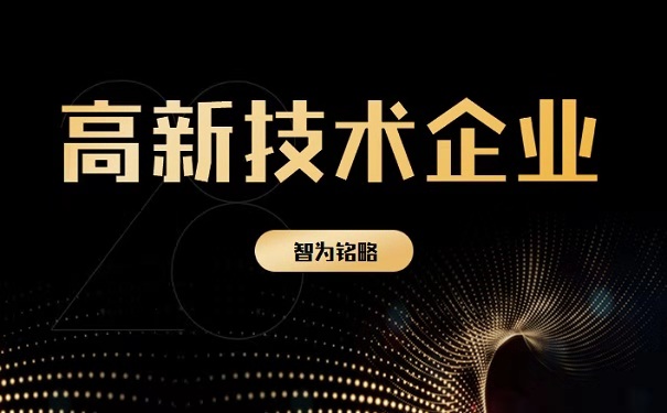 高新企业发展年报