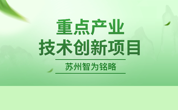 重点产业技术创新