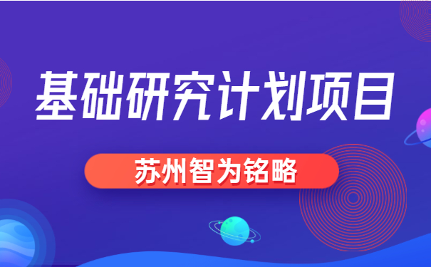 项目咨询