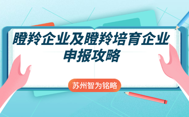 瞪羚培育企业申报