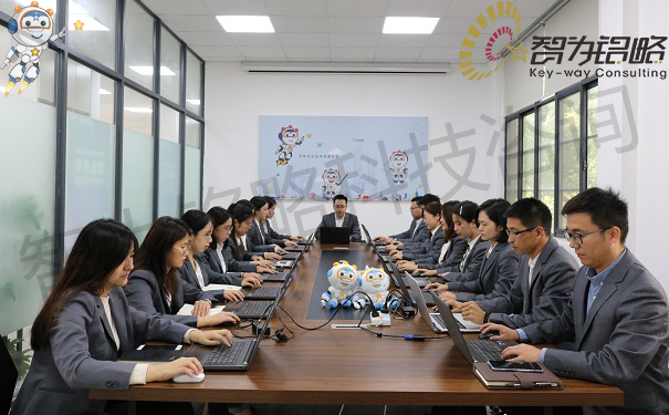 高新技术企业申报