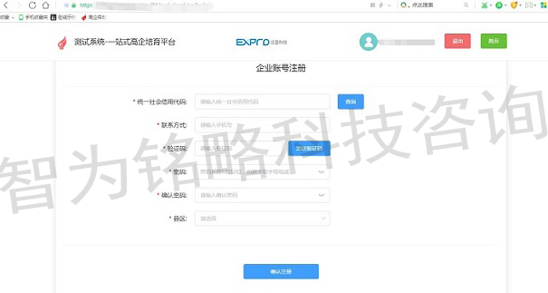 高新技术企业申报