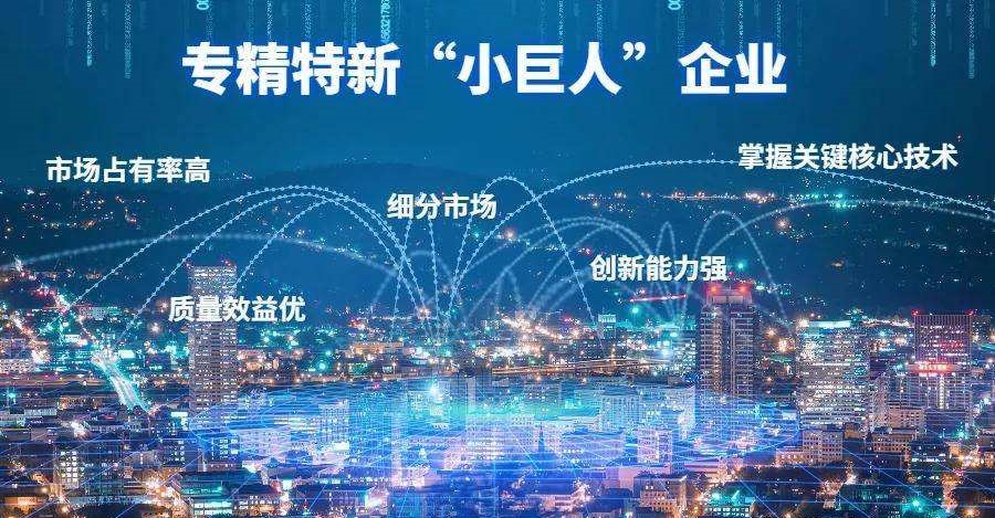 专精特新企业认定