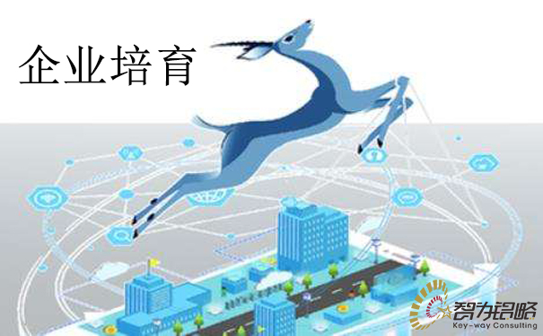 苏州市科创板上市后备企业培育计划
