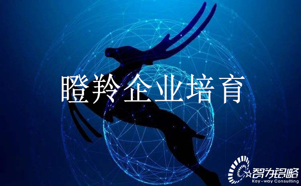 关于实施瞪羚企业培育工程的若干意见