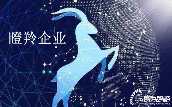关于印发《江苏省瞪羚企业培育实施方案》通知