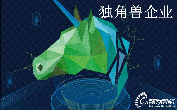 关于印发苏州高新区独角兽企业培育实施意见通知