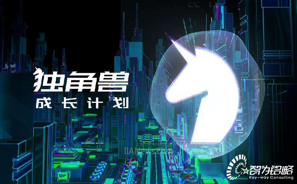 苏州市独角兽企业培育计划（2018～2022年）