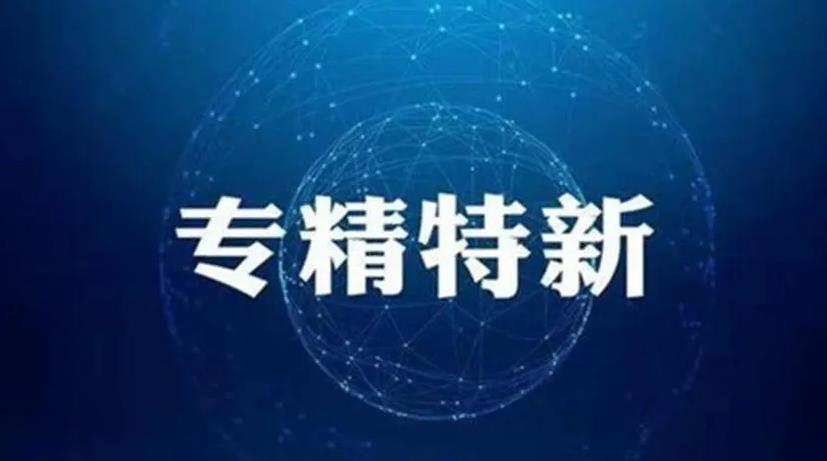 专精特新