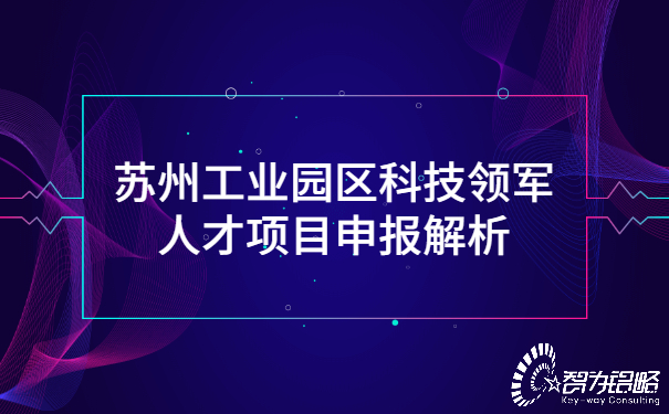 苏州工业园区科技领军人才项目咨询解析.jpg