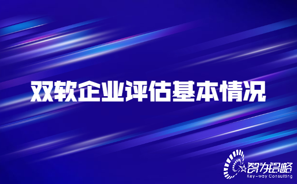 双软企业评估基本情况