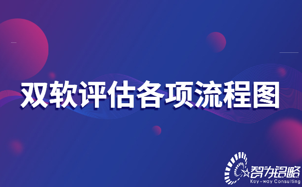 双软评估各项流程图