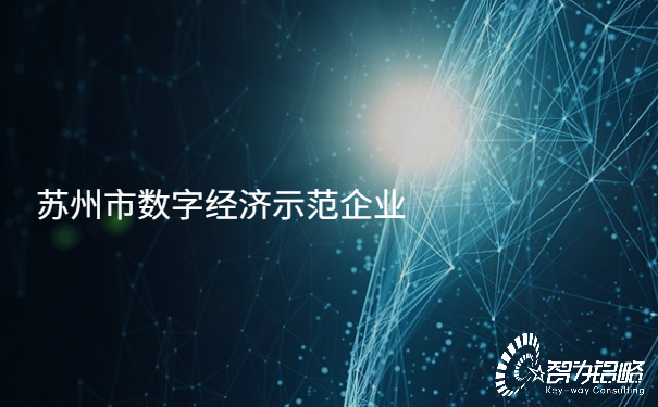 苏州市数字经济示范企业.jpg