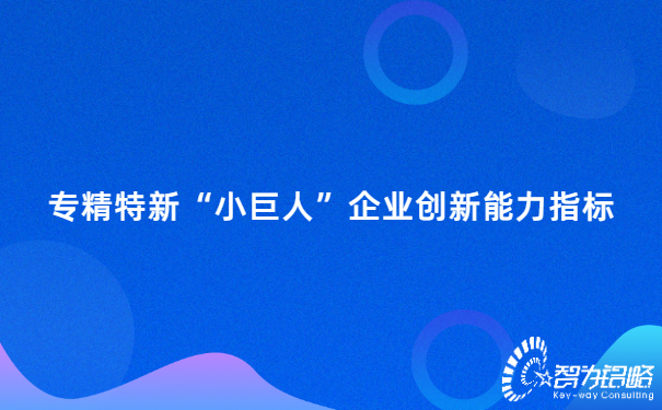 专精特新“小巨人”企业创新能力指标.jpg