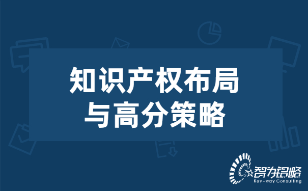 知识产权布局与高分策略.jpg
