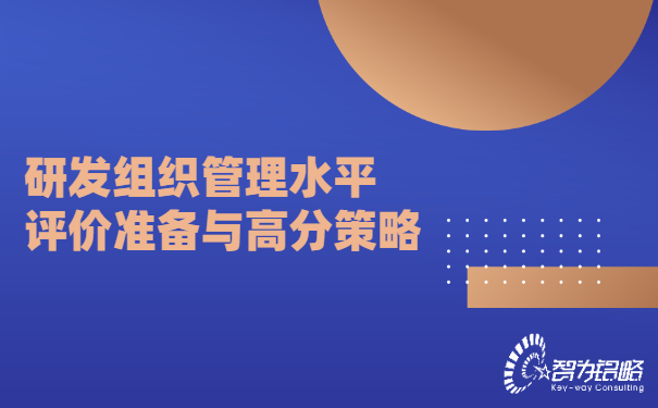 研发组织管理水平评价准备与高分策略.jpg
