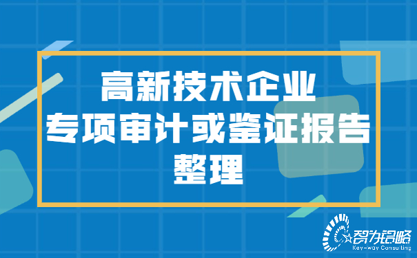 高新技术企业专项审计或鉴证报告整理.jpg