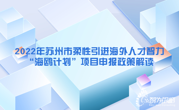2022年苏州市柔性引进海外人才智力“海鸥计划”项目咨询政策解读.jpg