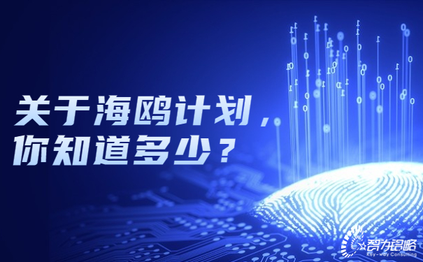 关于海鸥计划，你知道多少？.jpg