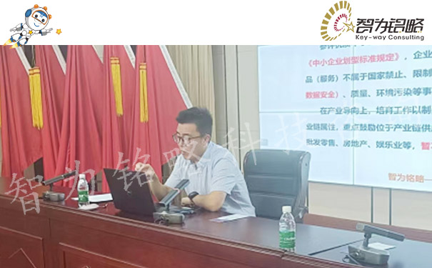 智为铭略主讲泰兴市中小企业数字化服务节专精特新专场