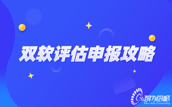 双软评估申报攻略