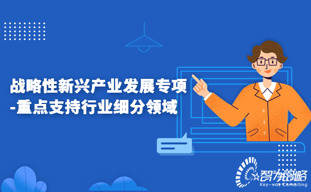 战略性新兴产业发展专项-重点支持行业细分领域.jpg