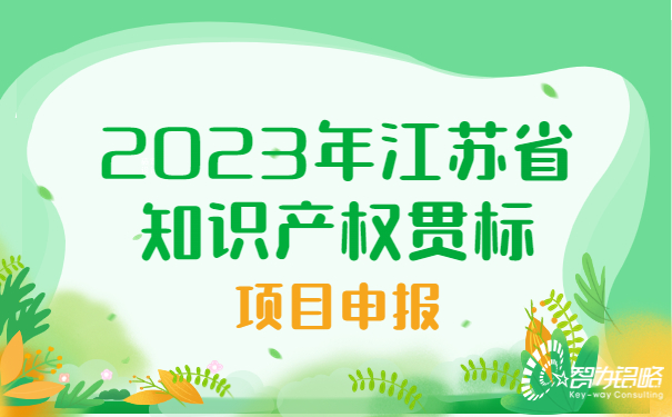 2023年江苏省知识产权贯标项目咨询