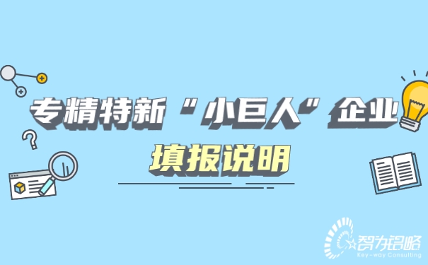 专精特新“小巨人”企业填报说明.jpg