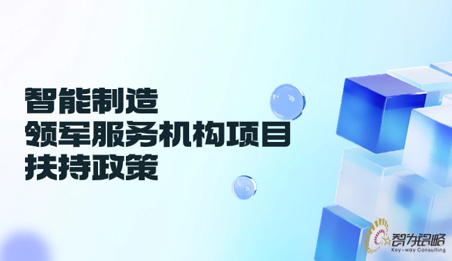 智能制造领军服务机构项目扶持政策.jpg