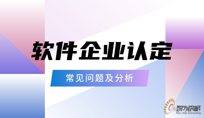 软件企业认定的常见问题及分析.jpg