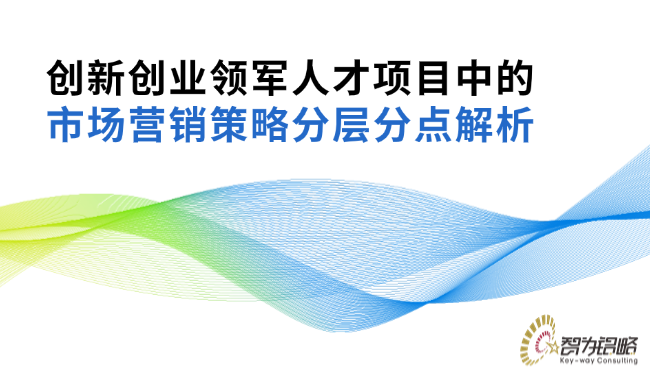 创新创业领军人才项目中的市场营销策略分层分点解析.png