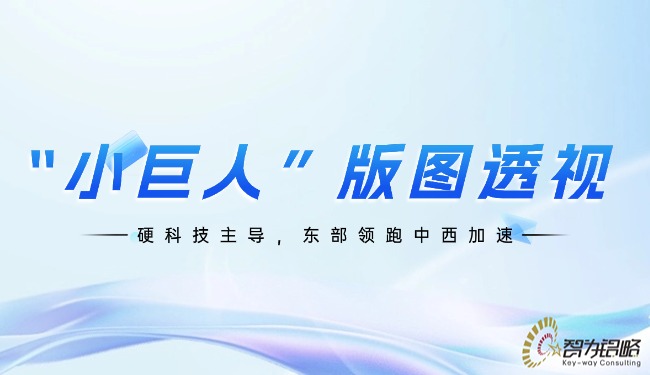 1762829146102254.jpg “小巨人”版图透视:硬科技主导,东部领跑中西加速.jpg