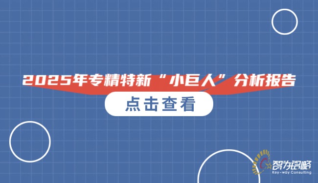 1762911691788178.jpg 2025年专精特新“小巨人”分析报告.jpg