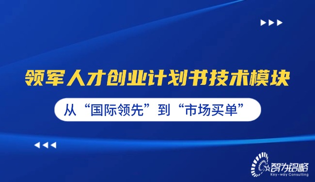 1765157033183542.jpg 领军人才创业计划书技术模块—从“国际**”到“市场买单”.jpg