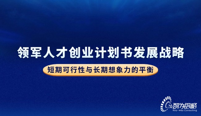 领军人才创业计划书发展战略—短期可行性与长期想象力的平衡.jpg
