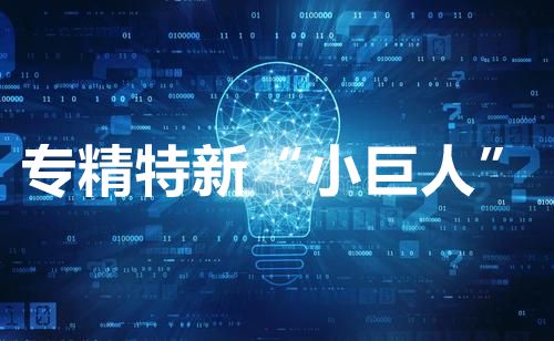 关于印发苏州高新区（虎丘区）促进中小企业“专精特新”高质量发展行动计划通知【智为铭略转发】