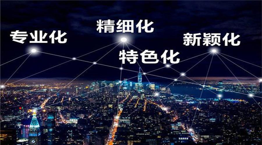 张家港市专精特新“小巨人”企业培育提升三年行动计划（2022-2024年）【智为铭略转发】